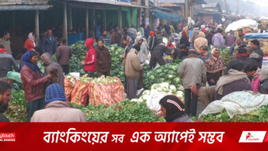 ঠাকুরগাঁওয়ে কমেছে শীতকালীন সবজির দাম