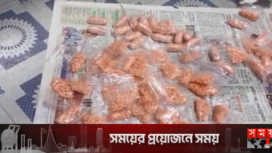 ইয়াবার চালান নিয়ে ভয়াবহ তথ্য