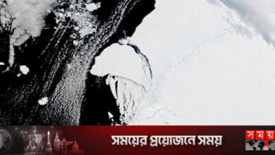 অ্যান্টার্কটিকায় খসে পড়ছে লন্ডনের আয়তনের সমান বরফখণ্ড