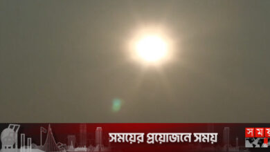 নতুন বছরের সূর্যোদয় দেখলেন লাখো পর্যটক