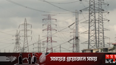 বিদ্যুতের দাম প্রতি ইউনিট ১৯ পয়সা বাড়িয়ে প্রজ্ঞাপন জারি