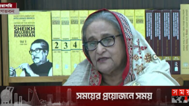 গণতান্ত্রিক ধারা বজায় ছিল বলেই দেশের উন্নতি হয়েছে: প্রধানমন্ত্রী