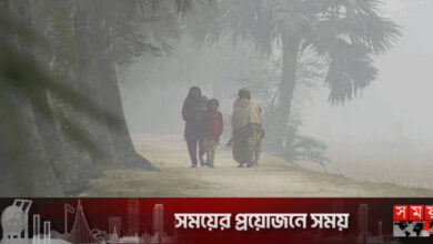 পঞ্চগড়ে বইছে মাঝারি শৈত্যপ্রবাহ, বিপর্যস্ত জনজীবন