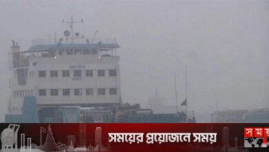 ঘন কুয়াশায় শরীয়তপুর-চাঁদপুর রুটে ফেরি চলাচল বন্ধ