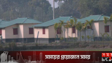 তীব্র শৈত্যপ্রবাহও ছুঁতে পারছে না আশ্রয়ণ প্রকল্পের ঘর পাওয়া মানুষকে