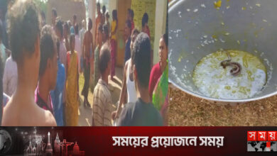 স্কুলের খাবারে মিলল সাপ, অসুস্থ বহু শিক্ষার্থী