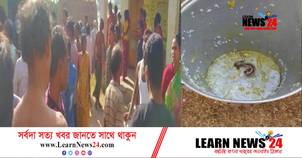 স্কুলের খাবারে মিলল সাপ, অসুস্থ বহু শিক্ষার্থী