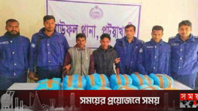 পটুয়াখালীতে গাঁজাসহ আটক ২