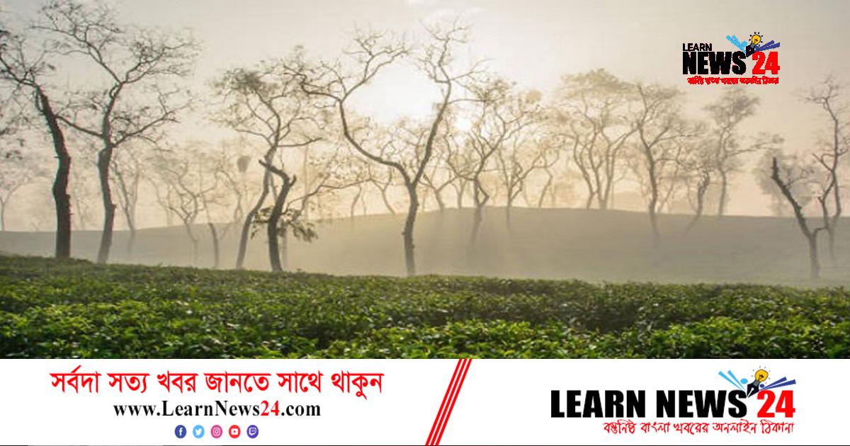 মাঘের শীতে কাঁপছে শ্রীমঙ্গল, তাপমাত্রা নামল ৫.৬ ডিগ্রিতে মাঘের শীতে কাঁপছে শ্রীমঙ্গল, তাপমাত্রা নামল ৫.৬ ডিগ্রিতে