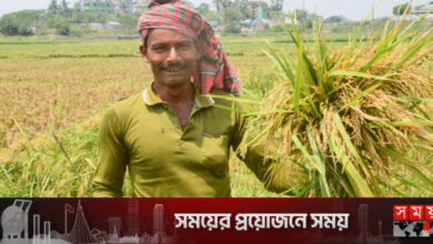 বৈশ্বিক সংকটেও খাদ্যে স্বয়ংসম্পূর্ণ বাংলাদেশ