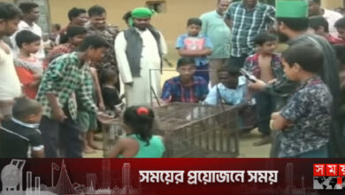 হাঁস-মুরগি খেতে এসে ফাঁদে আটকা মেছো বাঘ, অতঃপর…