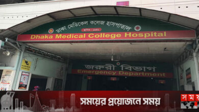 রাজধানীতে স্বামীর বিশেষ অঙ্গ কাটলেন স্ত্রী