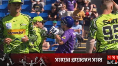 কেন ওয়েডকে ধাক্কা দিলেন ওয়ার্নার?