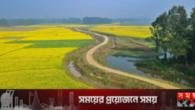 সরিষা দানায় ভাগ্য বদলের স্বপ্ন