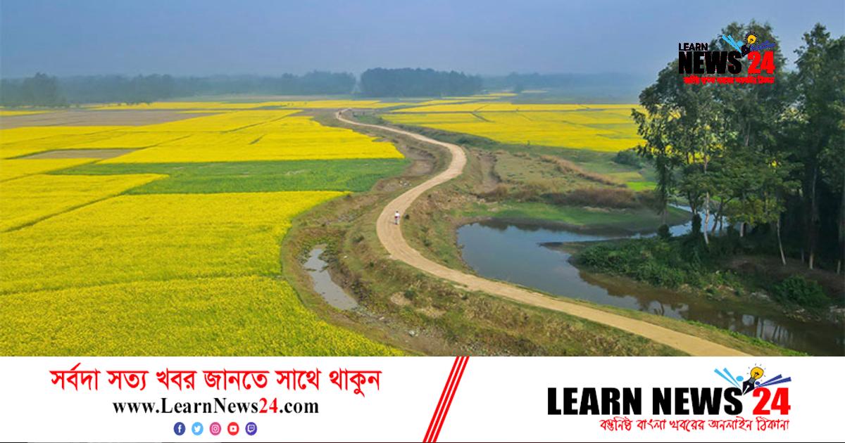 সরিষা দানায় ভাগ্য বদলের স্বপ্ন