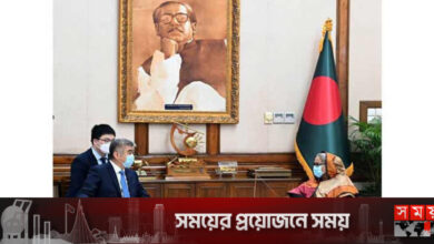 আ.লীগ ক্ষমতায় এলে দেশের উন্নয়নের ধারা অব্যাহত রাখবে: প্রধানমন্ত্রী