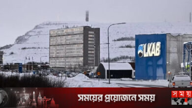 ইউরোপের সর্ববৃহৎ বিরল মৃত্তিকা ধাতুর খনির সন্ধান মিলল সুইডেনে