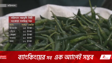 বরিশালে কাঁচা মরিচের দাম কমেছে ২৫ টাকা