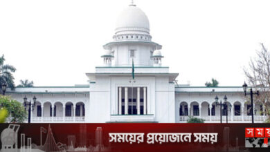 শিক্ষাপ্রতিষ্ঠানে যৌন হয়রানি বন্ধে হাইকোর্টের রায় বাস্তবায়নের নির্দেশ