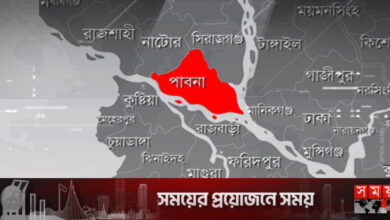 গরু চুরি বেড়েছে পাবনায়, রাত জেগে পাহারা