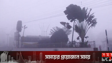 ঠান্ডায় বিপর্যস্ত উত্তরের জনপদ, শৈত্যপ্রবাহের সঙ্গে বৃষ্টির শঙ্কা