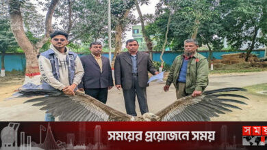 ফেনীতে হিমালয়ান শকুন উদ্ধার