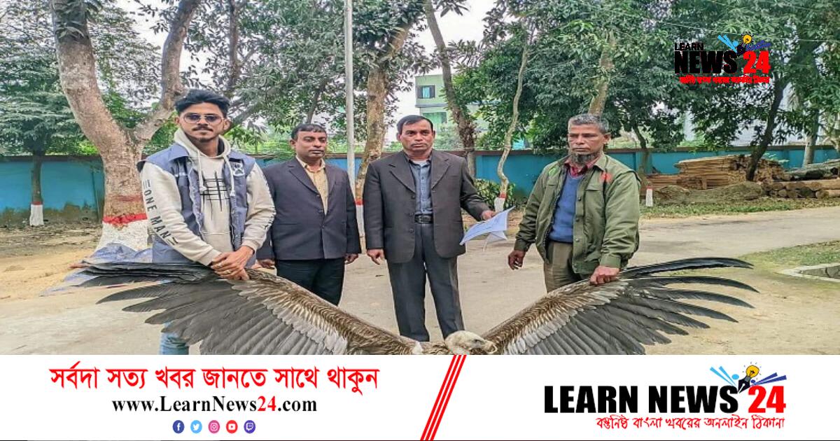 ফেনীতে হিমালয়ান শকুন উদ্ধার