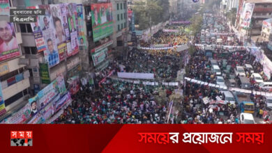 কূটনৈতিক তৎপরতা নিয়ে পাল্টাপাল্টি মনোভাব বিএনপি-আ.লীগে