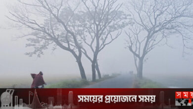 সারা দেশে হাড় কাঁপাচ্ছে পৌষের শীত