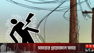 ময়মনসিংহে বিদ্যুতের তারে জড়িয়ে লাইনম্যানের মৃত্যু
