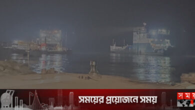 পাটুরিয়া-দৌলতদিয়া নৌরুটে ফেরি চলাচল বন্ধ