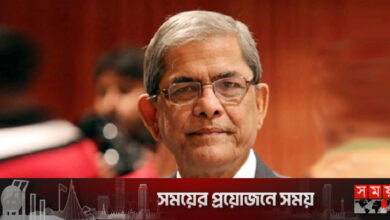 হাসপাতাল থেকে বাসায় ফিরলেন ফখরুল