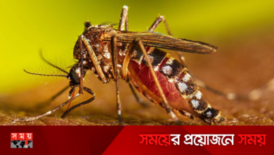 ডেঙ্গু আক্রান্ত হয়ে আরও ১৫ জন হাসাপাতালে ভর্তি