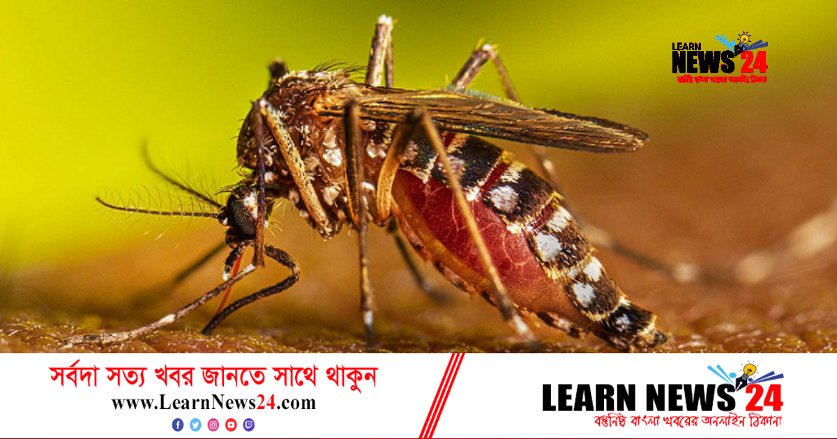 ডেঙ্গু আক্রান্ত হয়ে আরও ১৫ জন হাসাপাতালে ভর্তি