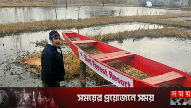 অতিথি পাখিদের জন্য রিসোর্ট তৈরি করলেন কাশ্মীরী যুবক