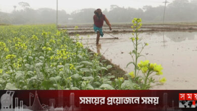 এক সপ্তাহেও সূর্যের দেখা মেলেনি মাদারীপুরে