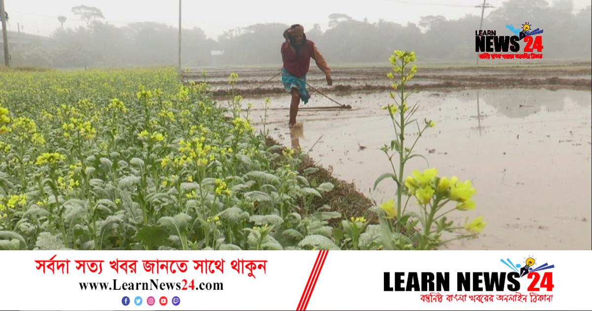 এক সপ্তাহেও সূর্যের দেখা মেলেনি মাদারীপুরে এক সপ্তাহেও সূর্যের দেখা মেলেনি মাদারীপুরে