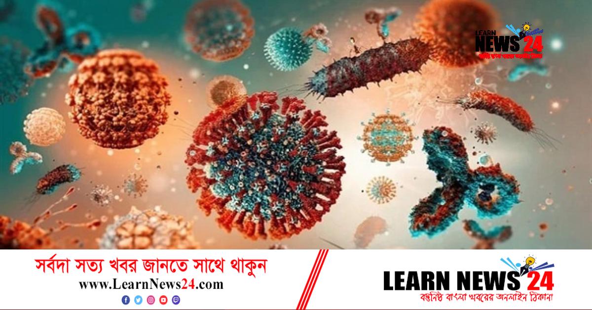 করোনায় মৃত্যুহীন দিনে শনাক্ত বাড়ল করোনায় মৃত্যুহীন দিনে শনাক্ত বাড়ল