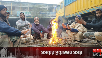 চুয়াডাঙ্গায় মৃদু শৈত্যপ্রবাহ, তাপমাত্রা ৯.২