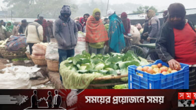 নাটোরে বেড়েছে সবজির দাম