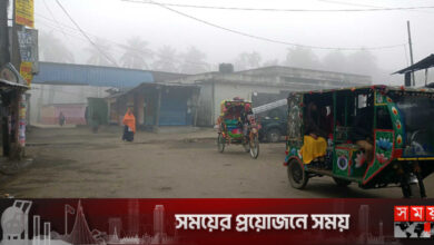 নেত্রকোনায় গুঁড়ি গুঁড়ি বৃষ্টির মতো কুয়াশা ঝরছে