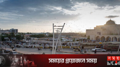 পাকিস্তানে রিজার্ভ সংকট, বিদ্যুৎ খরচ ৩০ শতাংশ কমানোর নির্দেশ