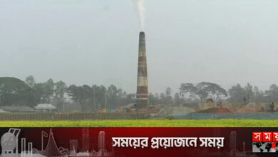 বনের কাঠে জ্বলছে ইটভাটা, হুমকিতে পরিবেশ