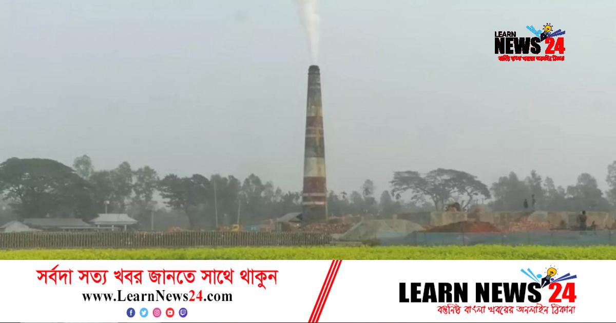 বনের কাঠে জ্বলছে ইটভাটা, হুমকিতে পরিবেশ বনের কাঠে জ্বলছে ইটভাটা, হুমকিতে পরিবেশ