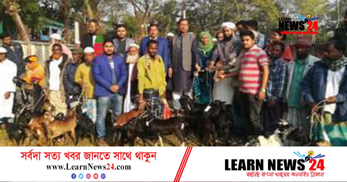 বরগুনায় ছাগল পেল জেলেরা বরগুনায় ছাগল পেল জেলেরা