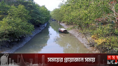 বাগেরহাটে বাঘের আক্রমণে জেলে আহত