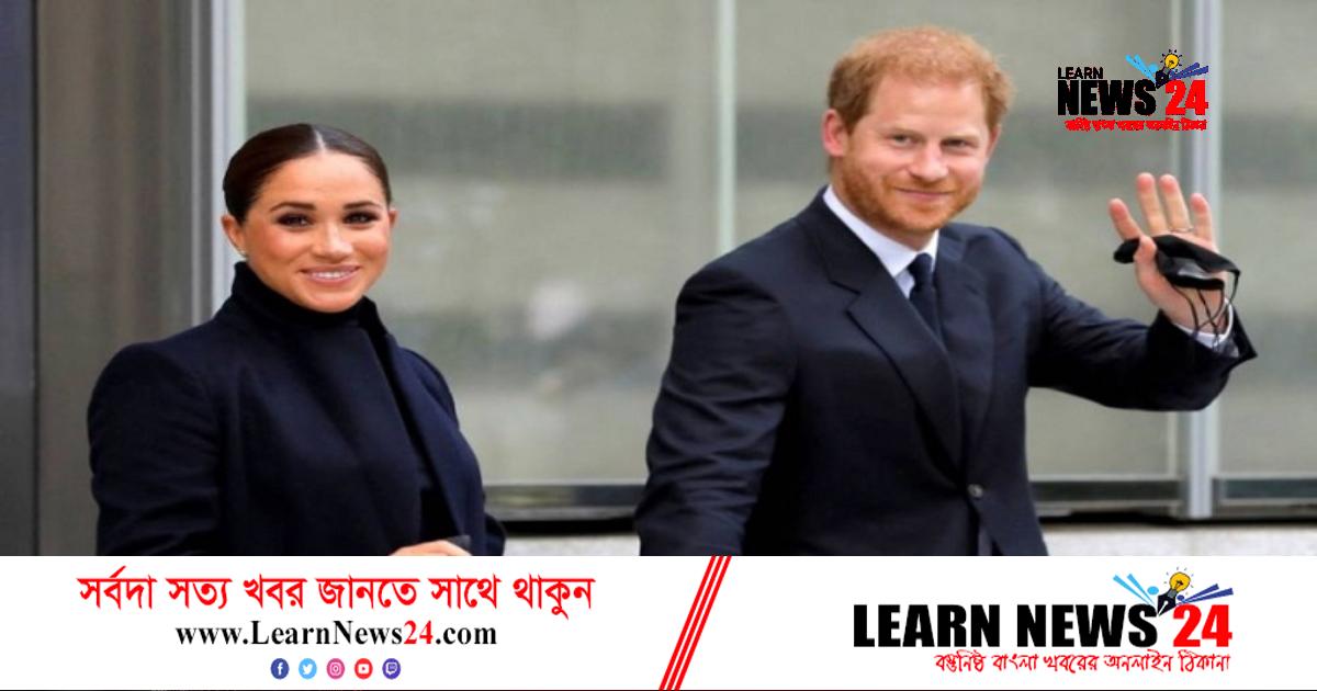 বাবা-ভাইকে ‘ফিরে’ পেতে চান প্রিন্স হ্যারি