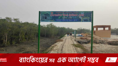 সুন্দরবনে নতুন ইকো ট্যুরিজম কেন্দ্র বাড়াবে ব্যবসা ও রাজস্ব