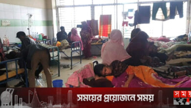 হবিগঞ্জে ডায়রিয়া-নিউমোনিয়ার প্রকোপ