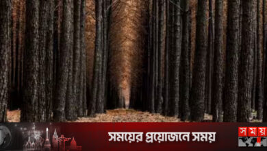 যে ভয়ংকর তথ্য উঠে এলো গবেষণায় যে ভয়ংকর তথ্য উঠে এলো গবেষণায়